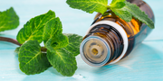 Les bienfaits de l'huile essentielle de menthe poivrée